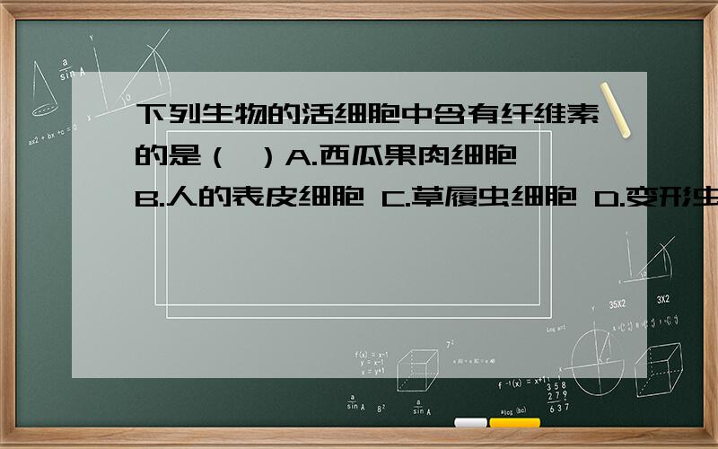 下列生物的活细胞中含有纤维素的是（ ）A.西瓜果肉细胞 B.人的表皮细胞 C.草履虫细胞 D.变形虫细胞为啥