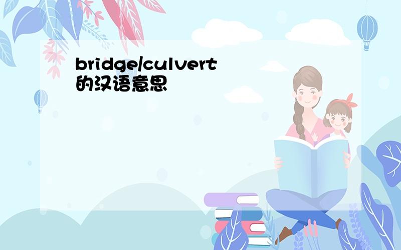 bridge/culvert的汉语意思