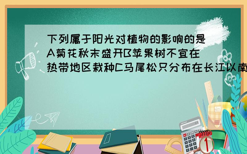 下列属于阳光对植物的影响的是A菊花秋末盛开B苹果树不宜在热带地区栽种C马尾松只分布在长江以南地区如果您不是蒙的,顺便讲一下为什么吧