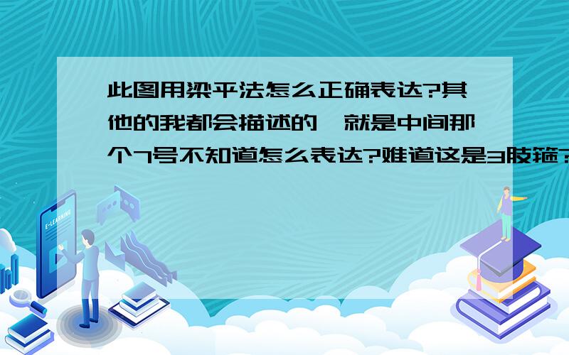 此图用梁平法怎么正确表达?其他的我都会描述的,就是中间那个7号不知道怎么表达?难道这是3肢箍?[  5号是 Φ8@100/200（2）   ]