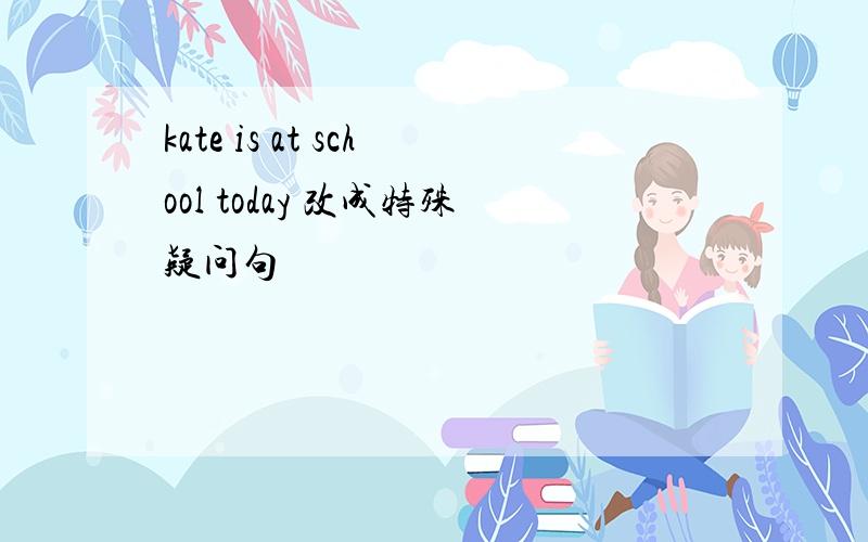 kate is at school today 改成特殊疑问句