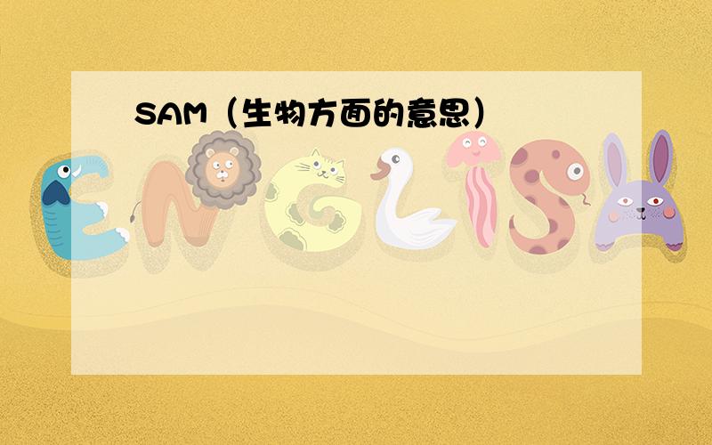 SAM（生物方面的意思）