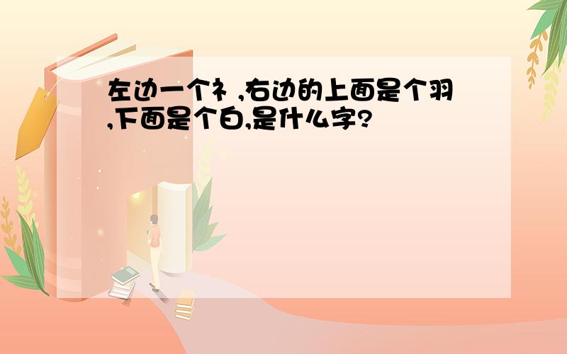 左边一个礻,右边的上面是个羽,下面是个白,是什么字?