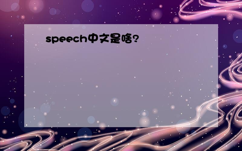 speech中文是啥?