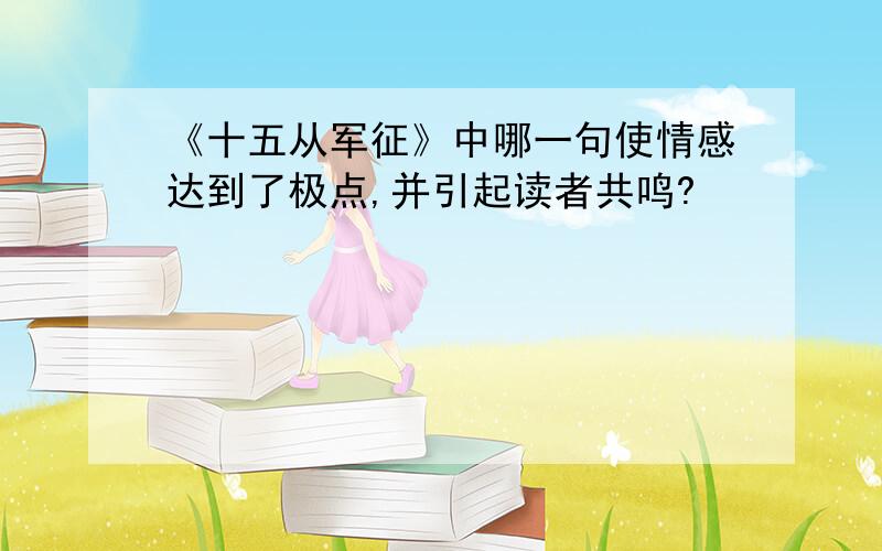 《十五从军征》中哪一句使情感达到了极点,并引起读者共鸣?