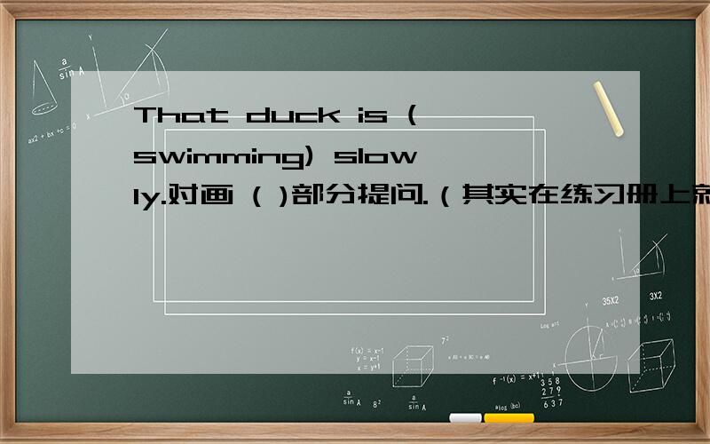 That duck is (swimming) slowly.对画 ( )部分提问.（其实在练习册上就是对画线部分提问）