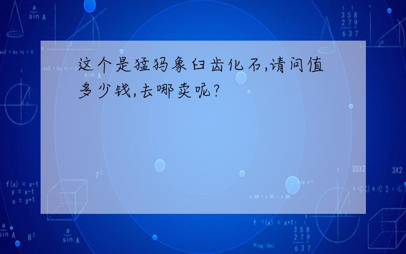 这个是猛犸象臼齿化石,请问值多少钱,去哪卖呢?