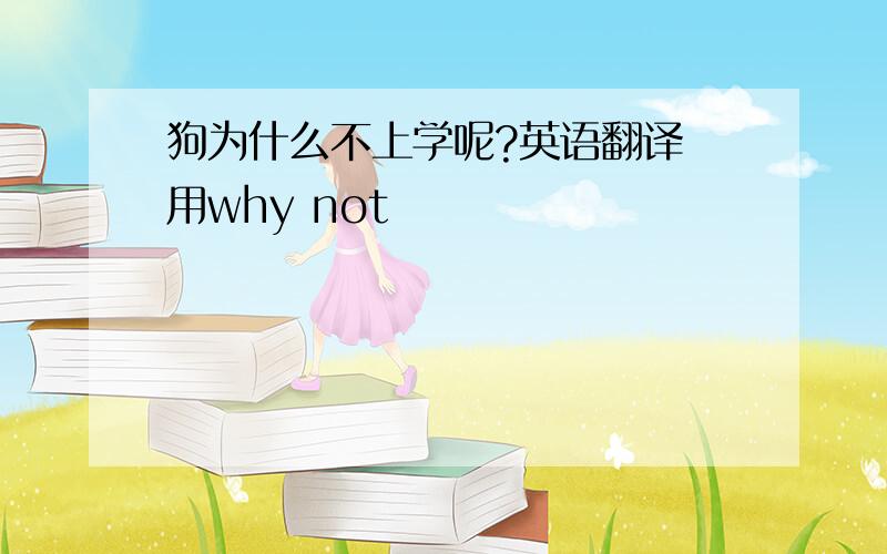 狗为什么不上学呢?英语翻译 用why not