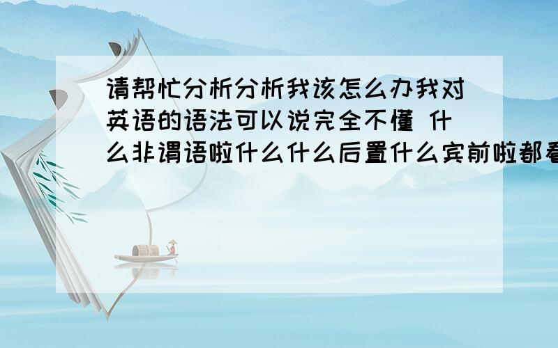 请帮忙分析分析我该怎么办我对英语的语法可以说完全不懂 什么非谓语啦什么什么后置什么宾前啦都看不出来的这样选择题都做不了像我这种情况怎么办