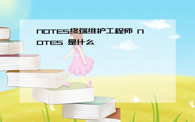 NOTES终端维护工程师 NOTES 是什么