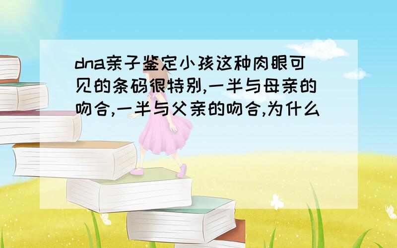 dna亲子鉴定小孩这种肉眼可见的条码很特别,一半与母亲的吻合,一半与父亲的吻合,为什么