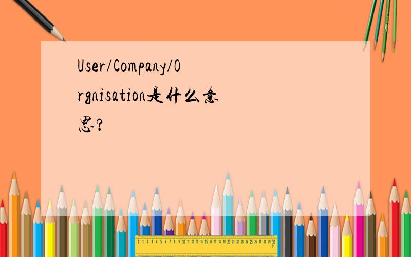 User/Company/Orgnisation是什么意思?