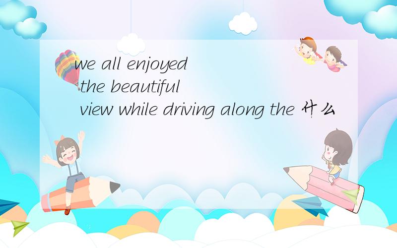 we all enjoyed the beautiful view while driving along the 什么