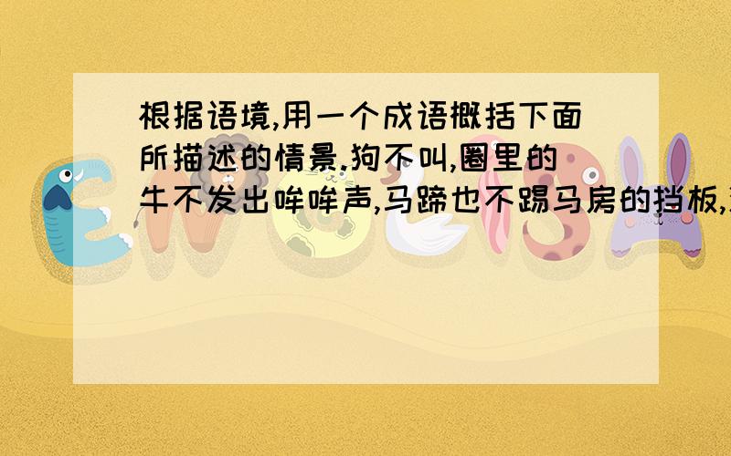 根据语境,用一个成语概括下面所描述的情景.狗不叫,圈里的牛不发出哞哞声,马蹄也不踢马房的挡板,沉睡的畜生,无声的低地,漆黑的夜晚,只有远处的几座灯塔在闪烁着微弱的光芒.