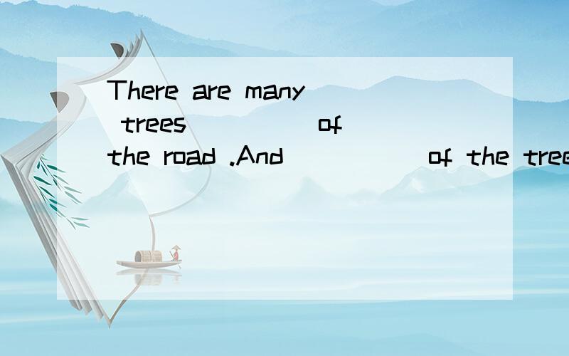 There are many trees_____of the road .And _____of the trees growing largerA on both side sides,a number B on both sides,the number答案选B,为啥选B