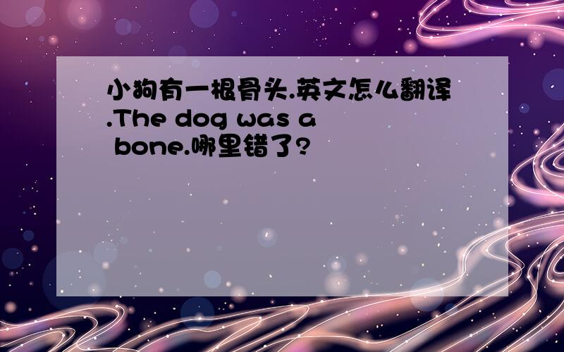 小狗有一根骨头.英文怎么翻译.The dog was a bone.哪里错了?