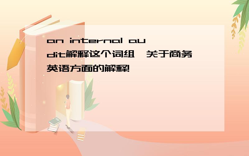 an internal audit解释这个词组,关于商务英语方面的解释!