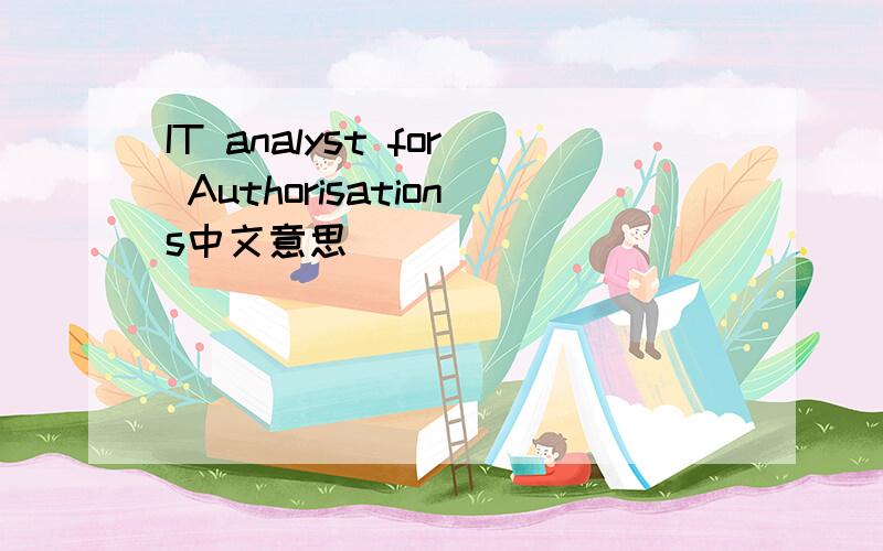 IT analyst for Authorisations中文意思