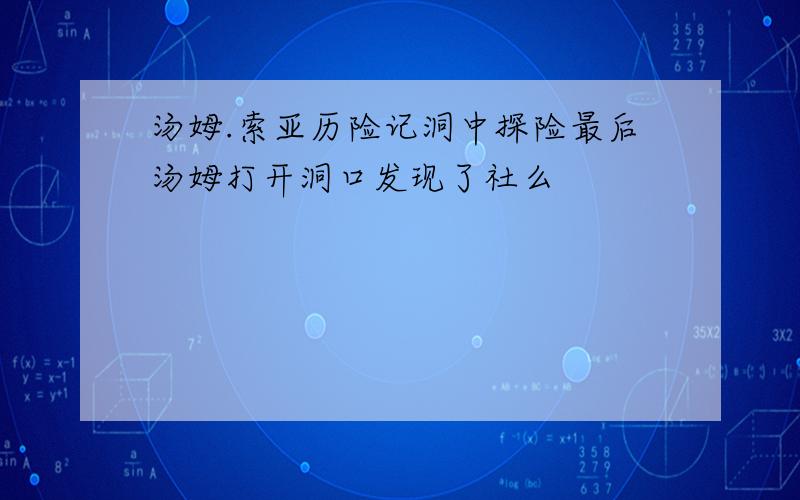 汤姆.索亚历险记洞中探险最后汤姆打开洞口发现了社么