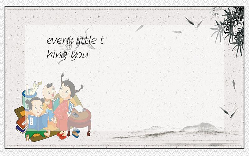 every little thing you