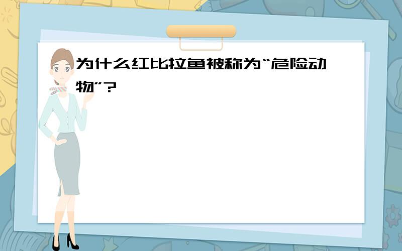 为什么红比拉鱼被称为“危险动物”?