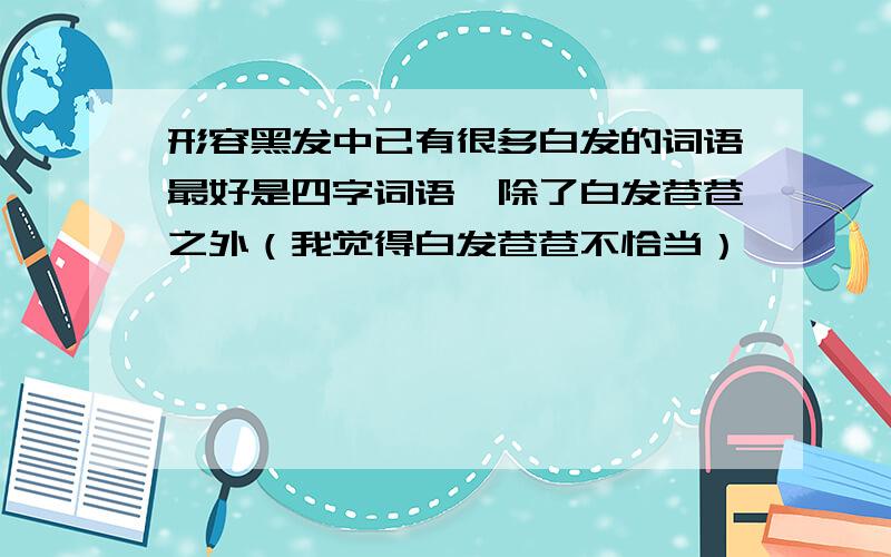 形容黑发中已有很多白发的词语最好是四字词语,除了白发苍苍之外（我觉得白发苍苍不恰当）