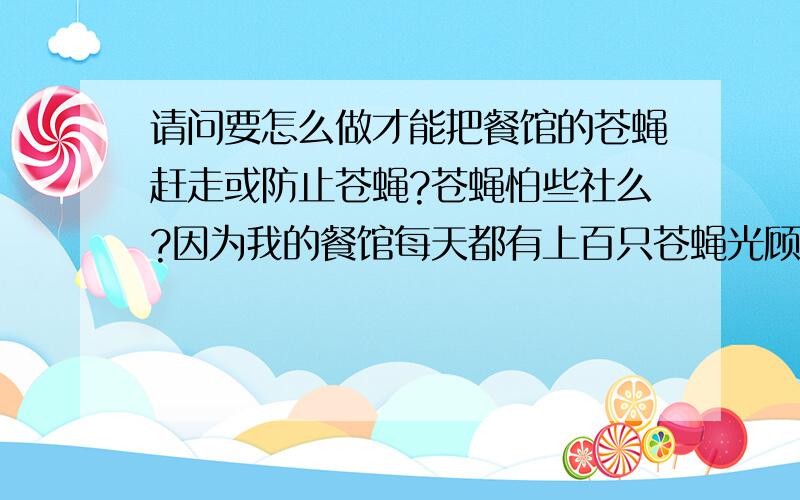 请问要怎么做才能把餐馆的苍蝇赶走或防止苍蝇?苍蝇怕些社么?因为我的餐馆每天都有上百只苍蝇光顾,太恐怖了!