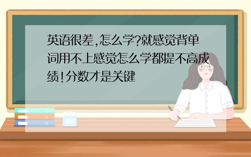 英语很差,怎么学?就感觉背单词用不上感觉怎么学都提不高成绩!分数才是关键