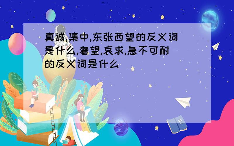 真诚,集中,东张西望的反义词是什么,奢望,哀求,急不可耐的反义词是什么