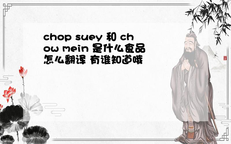 chop suey 和 chow mein 是什么食品 怎么翻译 有谁知道哦