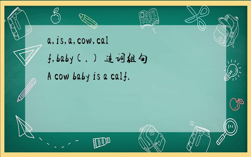 a,is,a,cow,calf,baby(.) 连词组句A cow baby is a calf.