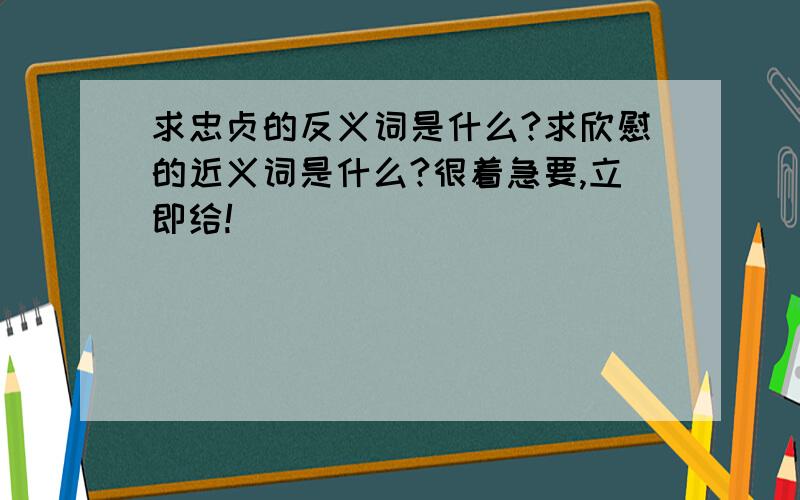 求忠贞的反义词是什么?求欣慰的近义词是什么?很着急要,立即给!