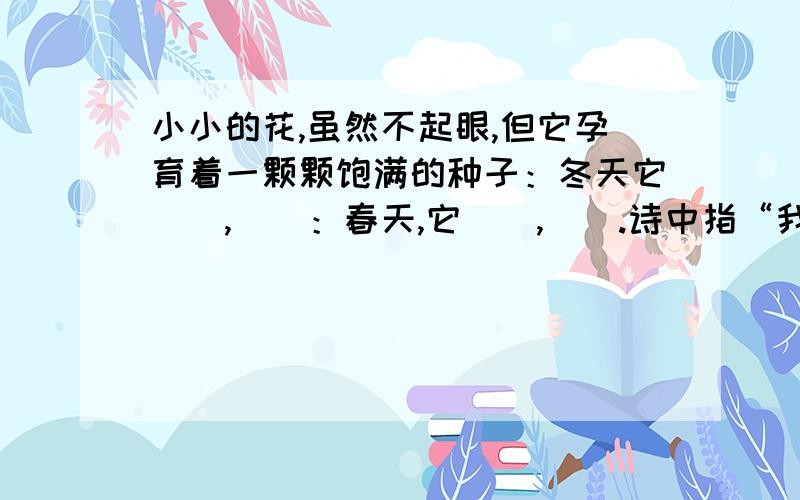 小小的花,虽然不起眼,但它孕育着一颗颗饱满的种子：冬天它（）,（）：春天,它（）,（）.诗中指“我”的心思指的是什么?你认为这首诗的主题是什么?《别踩了这朵花》