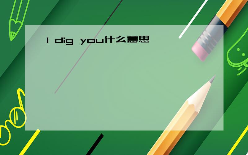 I dig you什么意思