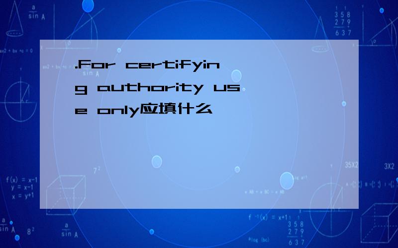 .For certifying authority use only应填什么