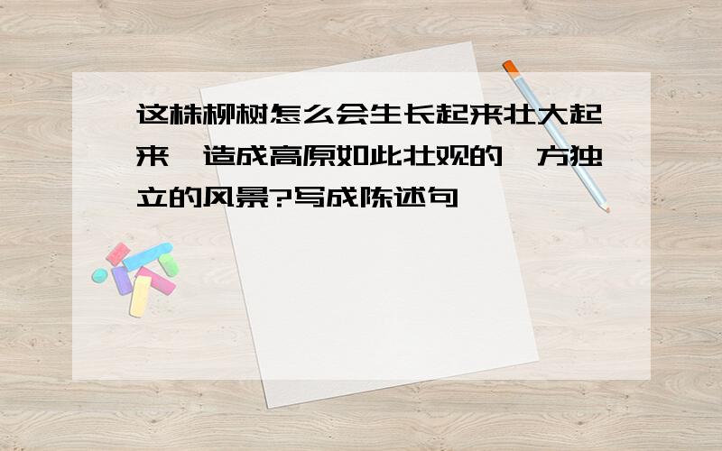 这株柳树怎么会生长起来壮大起来,造成高原如此壮观的一方独立的风景?写成陈述句