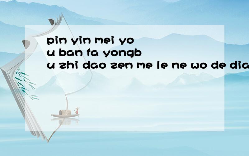 pin yin mei you ban fa yongbu zhi dao zen me le ne wo de dian nao zhi neng yong wu bei bie de shu ru fa dou yong bu liao ne shi zen me hui shi ne wo an Ctrl+Shift jian bie de shu ru fa dou bu chu xian mei you fan ying shi zen me hui shi ne