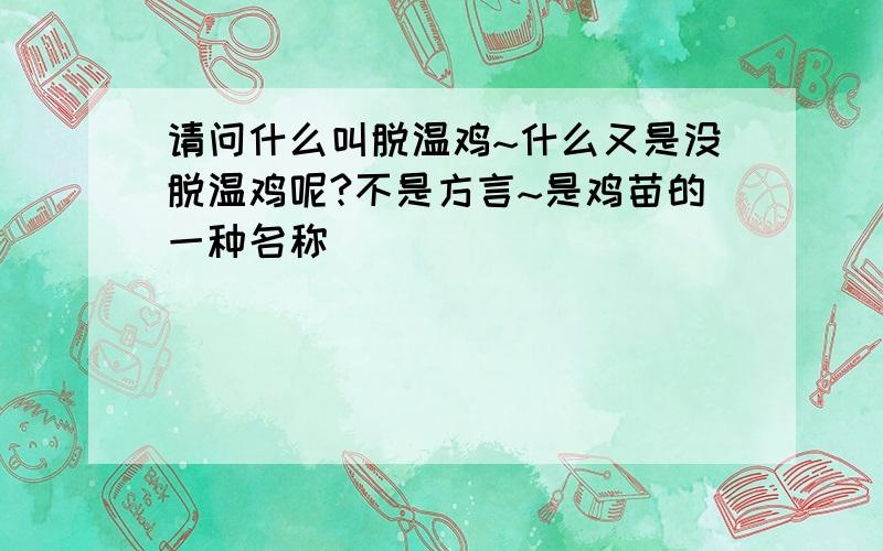 请问什么叫脱温鸡~什么又是没脱温鸡呢?不是方言~是鸡苗的一种名称