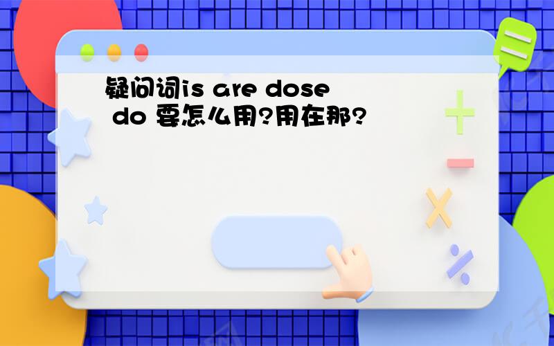 疑问词is are dose do 要怎么用?用在那?