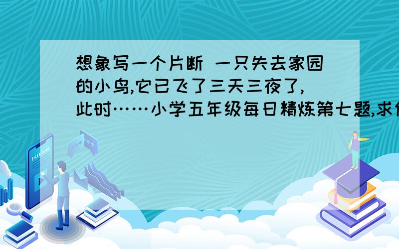 想象写一个片断 一只失去家园的小鸟,它已飞了三天三夜了,此时……小学五年级每日精炼第七题,求你了,呜呜