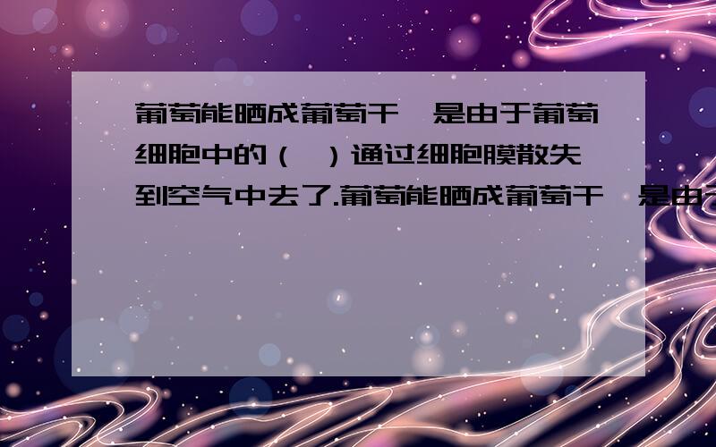 葡萄能晒成葡萄干,是由于葡萄细胞中的（ ）通过细胞膜散失到空气中去了.葡萄能晒成葡萄干,是由于葡葡萄能晒成葡萄干,是由于葡萄细胞中的（ ）通过细胞膜散失到空气中去了.葡萄能晒成