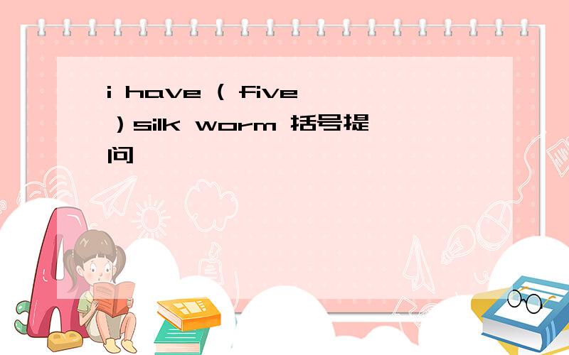 i have ( five ）silk worm 括号提问