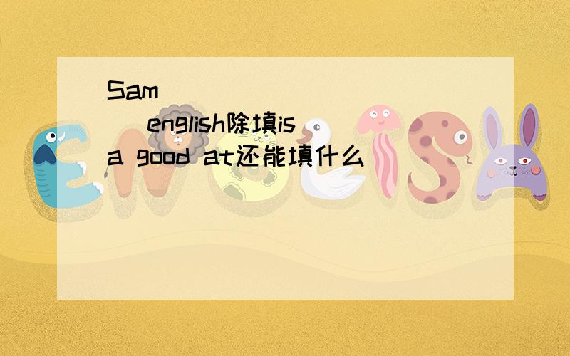 Sam ___ ___ ___ english除填is a good at还能填什么