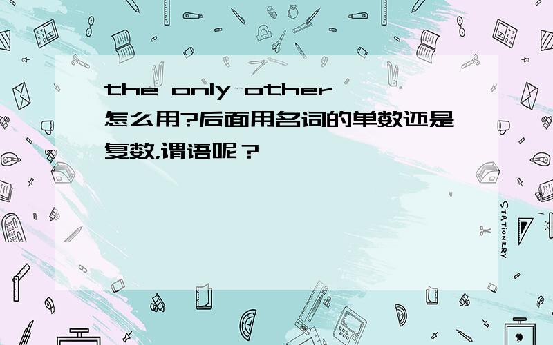 the only other怎么用?后面用名词的单数还是复数，谓语呢？