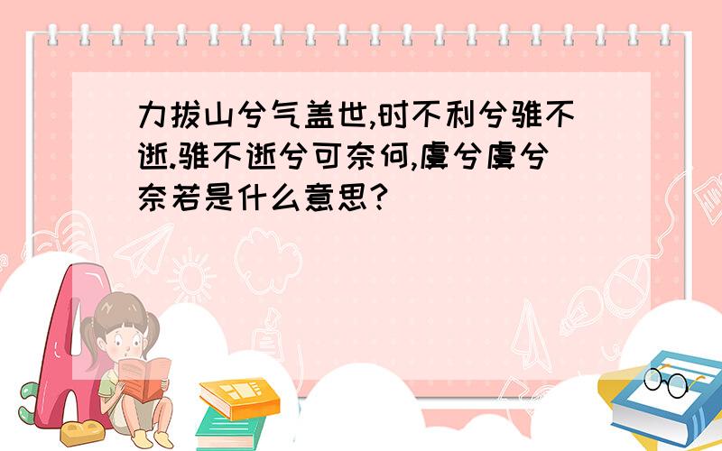 力拔山兮气盖世,时不利兮骓不逝.骓不逝兮可奈何,虞兮虞兮奈若是什么意思?