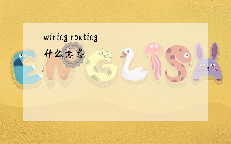 wiring routing什么意思