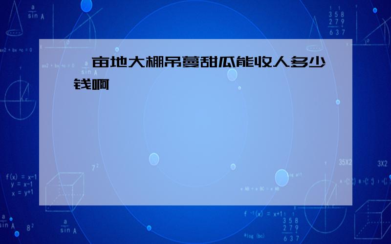 一亩地大棚吊蔓甜瓜能收人多少钱啊