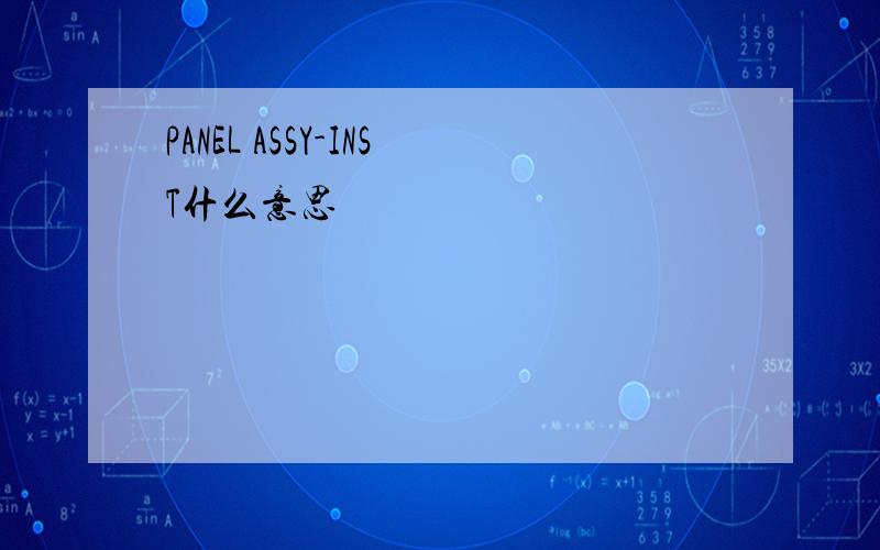 PANEL ASSY-INST什么意思