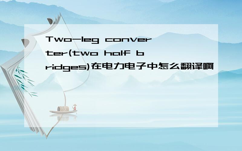 Two-leg converter(two half bridges)在电力电子中怎么翻译啊