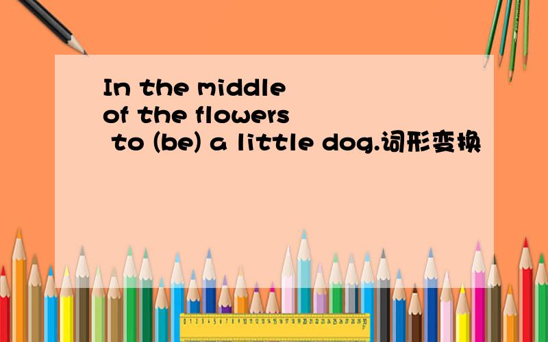 In the middle of the flowers to (be) a little dog.词形变换